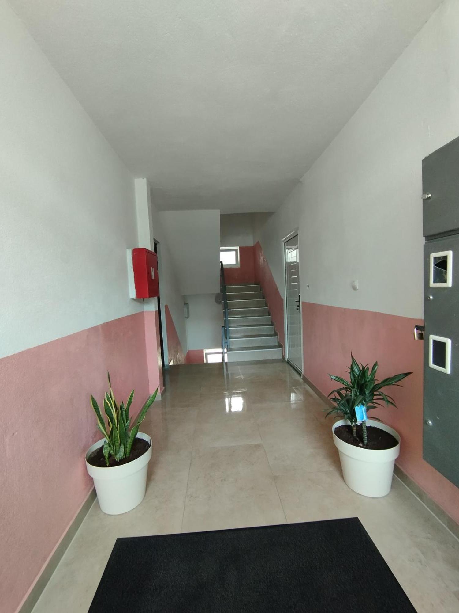 Apartment La Casa Pluzine Room photo